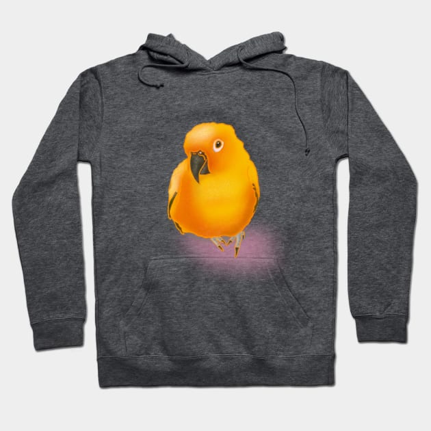 Fluffy Sun Conure Hoodie by Vibey Official